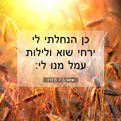 Picture 07 - איוב 7:3 HEB - כן הנחלתי לי ירחי שוא - Bible Verse Picture