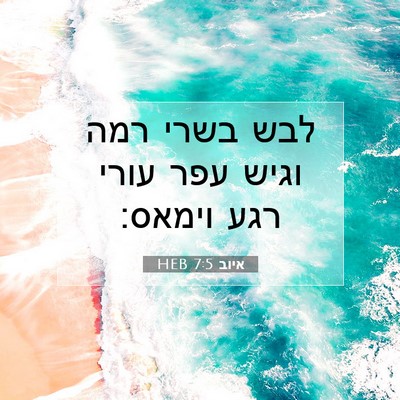 Picture 07 - איוב 7:5 HEB - לבש בשרי רמה וגיש עפר עורי - Bible Verse Picture
