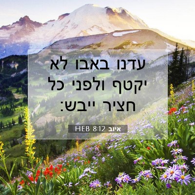 Picture 07 - איוב 8:12 HEB - עדנו באבו לא יקטף ולפני כל - Bible Verse Picture