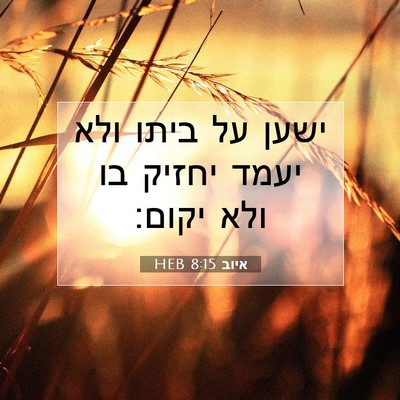 Picture 07 - איוב 8:15 HEB - ישען על ביתו ולא יעמד יחזיק - Bible Verse Picture
