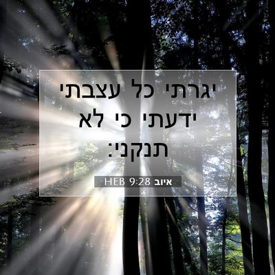 Picture 07 - איוב 9:28 HEB - יגרתי כל עצבתי ידעתי כי לא - Bible Verse Picture