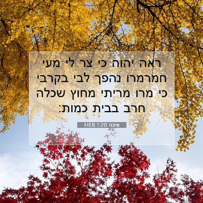Picture 07 - איכה 1:20 HEB - ראה יהוה כי צר לי מעי - Bible Verse Picture