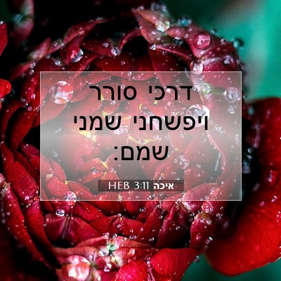 Picture 07 - איכה 3:11 HEB - דרכי סורר ויפשחני שמני - Bible Verse Picture