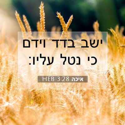 Picture 07 - איכה 3:28 HEB - ישב בדד וידם כי נטל - Bible Verse Picture