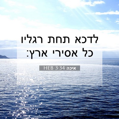 Picture 07 - איכה 3:34 HEB - לדכא תחת רגליו כל אסירי - Bible Verse Picture