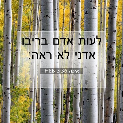 Picture 07 - איכה 3:36 HEB - לעות אדם בריבו אדני לא - Bible Verse Picture
