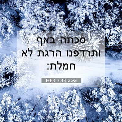Picture 07 - איכה 3:43 HEB - סכתה באף ותרדפנו הרגת לא - Bible Verse Picture
