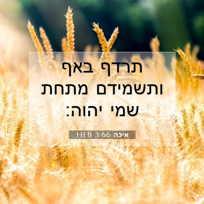 Picture 07 - איכה 3:66 HEB - תרדף באף ותשמידם מתחת שמי - Bible Verse Picture