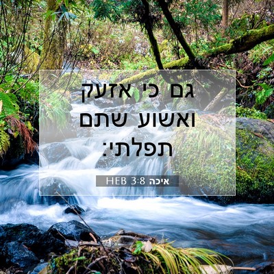 Picture 07 - איכה 3:8 HEB - גם כי אזעק ואשוע שתם - Bible Verse Picture