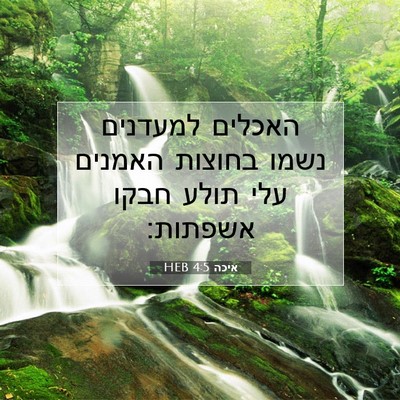 Picture 07 - איכה 4:5 HEB - האכלים למעדנים נשמו בחוצות - Bible Verse Picture