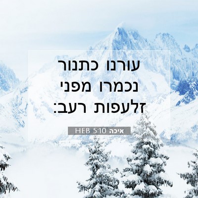 Picture 07 - איכה 5:10 HEB - עורנו כתנור נכמרו מפני - Bible Verse Picture