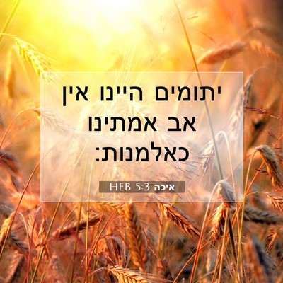 Picture 07 - איכה 5:3 HEB - יתומים היינו אין אב אמתינו - Bible Verse Picture