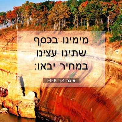 Picture 07 - איכה 5:4 HEB - מימינו בכסף שתינו עצינו - Bible Verse Picture