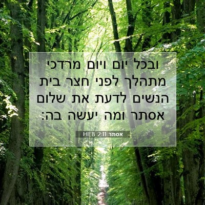 Picture 07 - אסתר 2:11 HEB - ובכל יום ויום מרדכי מתהלך - Bible Verse Picture