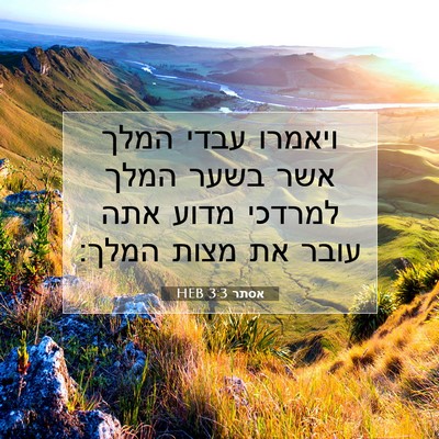 Picture 07 - אסתר 3:3 HEB - ויאמרו עבדי המלך אשר בשער - Bible Verse Picture
