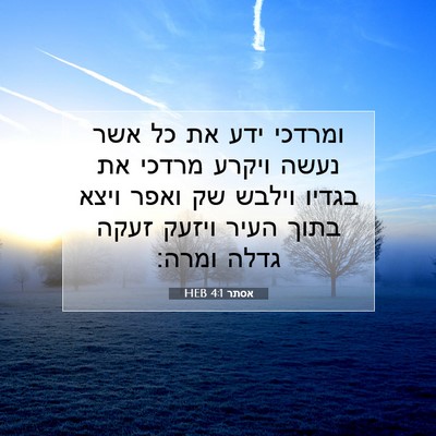 Picture 07 - אסתר 4:1 HEB - ומרדכי ידע את כל אשר נעשה - Bible Verse Picture