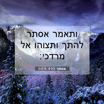 Picture 07 - אסתר 4:10 HEB - ותאמר אסתר להתך ותצוהו אל - Bible Verse Picture