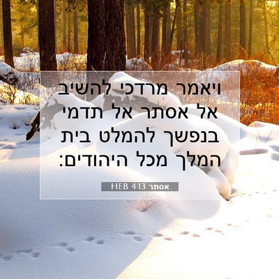 Picture 07 - אסתר 4:13 HEB - ויאמר מרדכי להשיב אל אסתר - Bible Verse Picture
