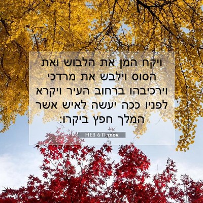 Picture 07 - אסתר 6:11 HEB - ויקח המן את הלבוש ואת הסוס - Bible Verse Picture