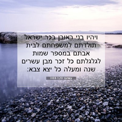 Picture 07 - במדבר 1:20 HEB - ויהיו בני ראובן בכר ישראל - Bible Verse Picture