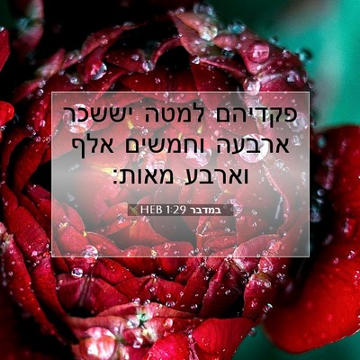 Picture 07 - במדבר 1:29 HEB - פקדיהם למטה יששכר ארבעה - Bible Verse Picture