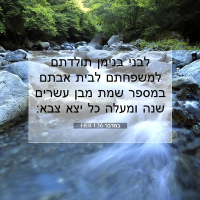 Picture 07 - במדבר 1:36 HEB - לבני בנימן תולדתם למשפחתם - Bible Verse Picture