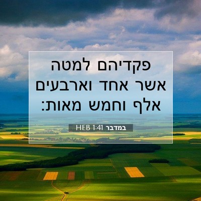 Picture 07 - במדבר 1:41 HEB - פקדיהם למטה אשר אחד - Bible Verse Picture