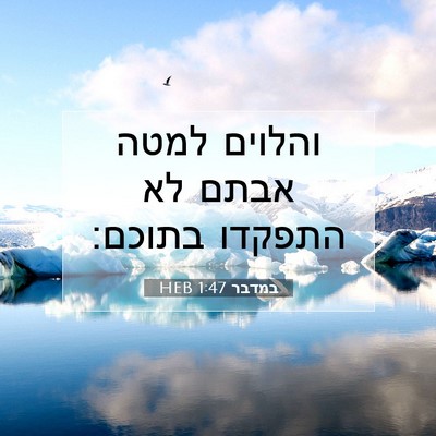 Picture 07 - במדבר 1:47 HEB - והלוים למטה אבתם לא התפקדו - Bible Verse Picture