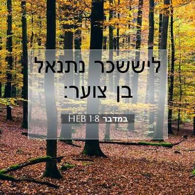 Picture 07 - במדבר 1:8 HEB - ליששכר נתנאל בן - Bible Verse Picture