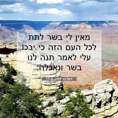 Picture 07 - במדבר 11:13 HEB - מאין לי בשר לתת לכל העם הזה - Bible Verse Picture