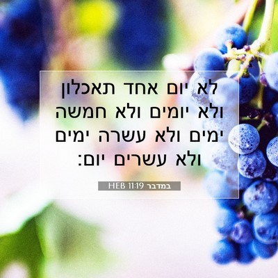 Picture 07 - במדבר 11:19 HEB - לא יום אחד תאכלון ולא יומים - Bible Verse Picture