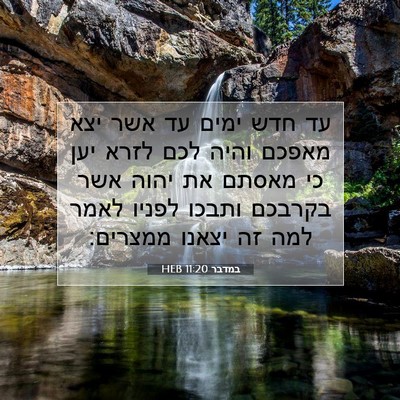 Picture 07 - במדבר 11:20 HEB - עד חדש ימים עד אשר יצא - Bible Verse Picture