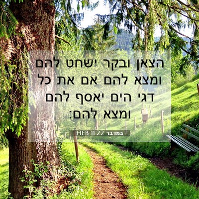 Picture 07 - במדבר 11:22 HEB - הצאן ובקר ישחט להם ומצא להם - Bible Verse Picture