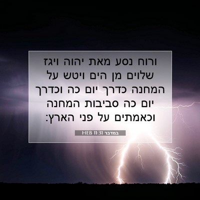 Picture 07 - במדבר 11:31 HEB - ורוח נסע מאת יהוה ויגז - Bible Verse Picture