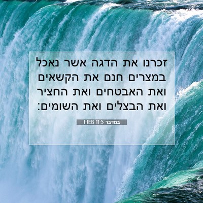 Picture 07 - במדבר 11:5 HEB - זכרנו את הדגה אשר נאכל - Bible Verse Picture