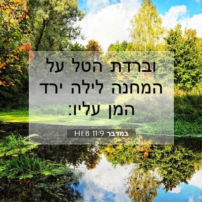 Picture 07 - במדבר 11:9 HEB - וברדת הטל על המחנה לילה ירד - Bible Verse Picture