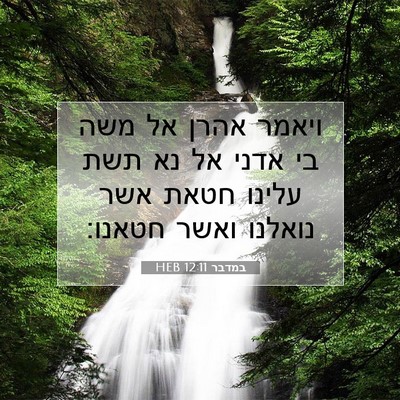 Picture 07 - במדבר 12:11 HEB - ויאמר אהרן אל משה בי אדני - Bible Verse Picture
