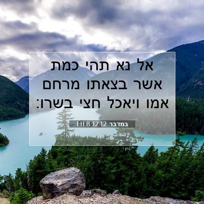 Picture 07 - במדבר 12:12 HEB - אל נא תהי כמת אשר בצאתו - Bible Verse Picture