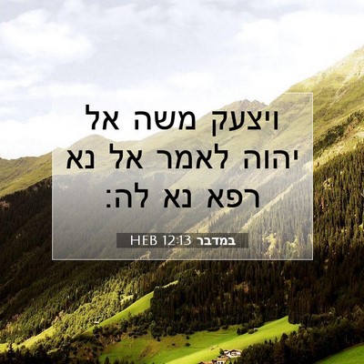 Picture 07 - במדבר 12:13 HEB - ויצעק משה אל יהוה לאמר אל - Bible Verse Picture