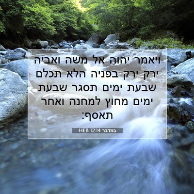 Picture 07 - במדבר 12:14 HEB - ויאמר יהוה אל משה ואביה ירק - Bible Verse Picture