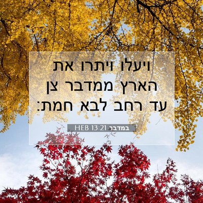 Picture 07 - במדבר 13:21 HEB - ויעלו ויתרו את הארץ ממדבר - Bible Verse Picture
