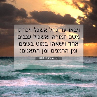 Picture 07 - במדבר 13:23 HEB - ויבאו עד נחל אשכל ויכרתו - Bible Verse Picture