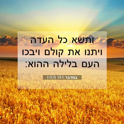 Picture 07 - במדבר 14:1 HEB - ותשא כל העדה ויתנו את קולם - Bible Verse Picture