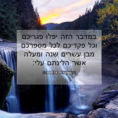 Picture 07 - במדבר 14:29 HEB - במדבר הזה יפלו פגריכם וכל - Bible Verse Picture