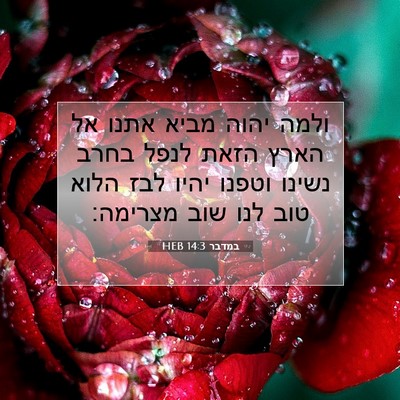 Picture 07 - במדבר 14:3 HEB - ולמה יהוה מביא אתנו אל הארץ - Bible Verse Picture