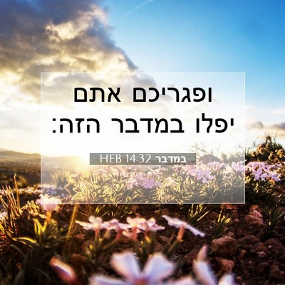 Picture 07 - במדבר 14:32 HEB - ופגריכם אתם יפלו במדבר - Bible Verse Picture