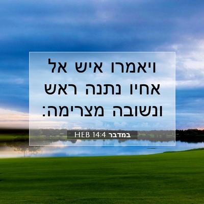 Picture 07 - במדבר 14:4 HEB - ויאמרו איש אל אחיו נתנה ראש - Bible Verse Picture