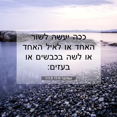 Picture 07 - במדבר 15:11 HEB - ככה יעשה לשור האחד או לאיל - Bible Verse Picture