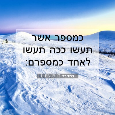 Picture 07 - במדבר 15:12 HEB - כמספר אשר תעשו ככה תעשו - Bible Verse Picture