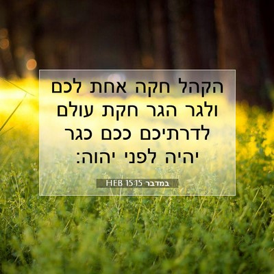 Picture 07 - במדבר 15:15 HEB - הקהל חקה אחת לכם ולגר הגר - Bible Verse Picture
